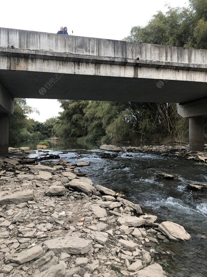 水底小鱼多就会没大鱼,自然水域没鱼情