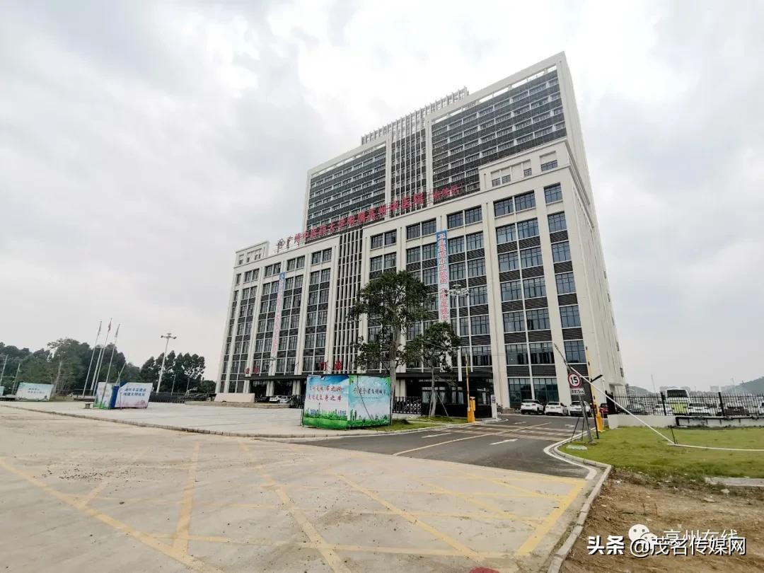 高州第二人民医院三甲,高州市第二人民医院和中医院