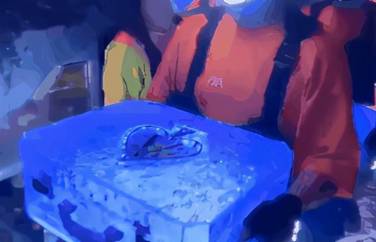 冰封神龙套有多少瓶,冰封神龙套完整视频