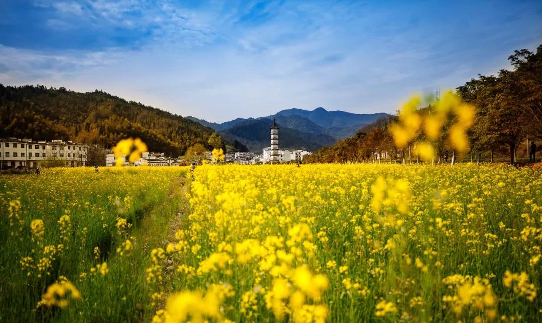 60岁前必去的中国各省区最美天堂,全国各省最美天堂你都去对了吗