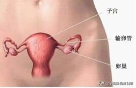 月经量太少是什么病,月经量少不正常是什么原因