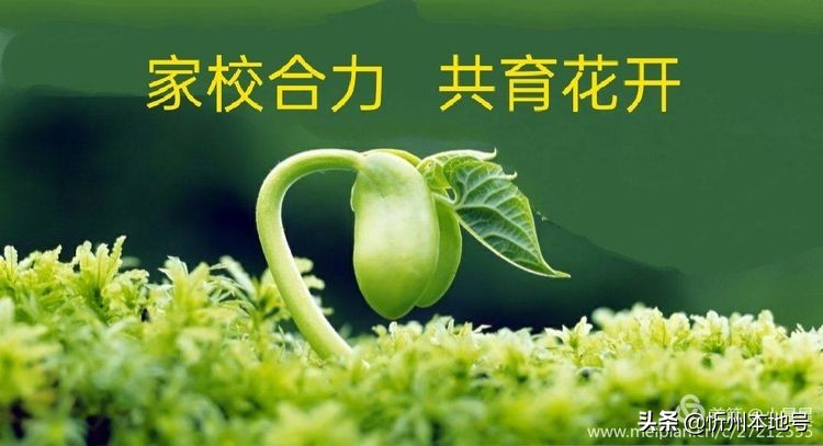 齐相聚，话成长——忻府区团结路小学家校共建助力成长