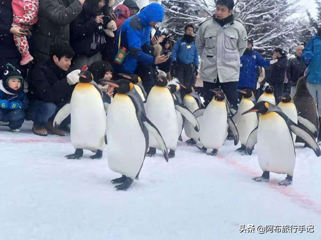 豆瓣9.1分看哭百万人,豆瓣评分9.0却很少有人看懂
