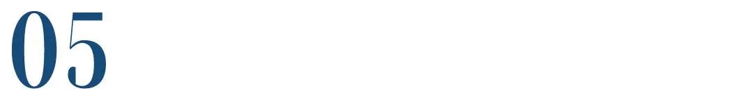 关于宠物店的选品和陈列,低端宠物店选品