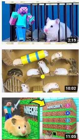 2亿*放播**量的“仓鼠走迷宫”，成了YouTube上的财富密码