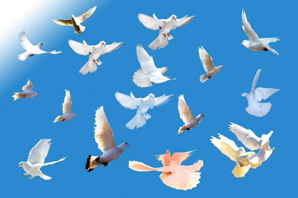 珍惜人生经典美文,情感美文让一段时光可以留住岁月