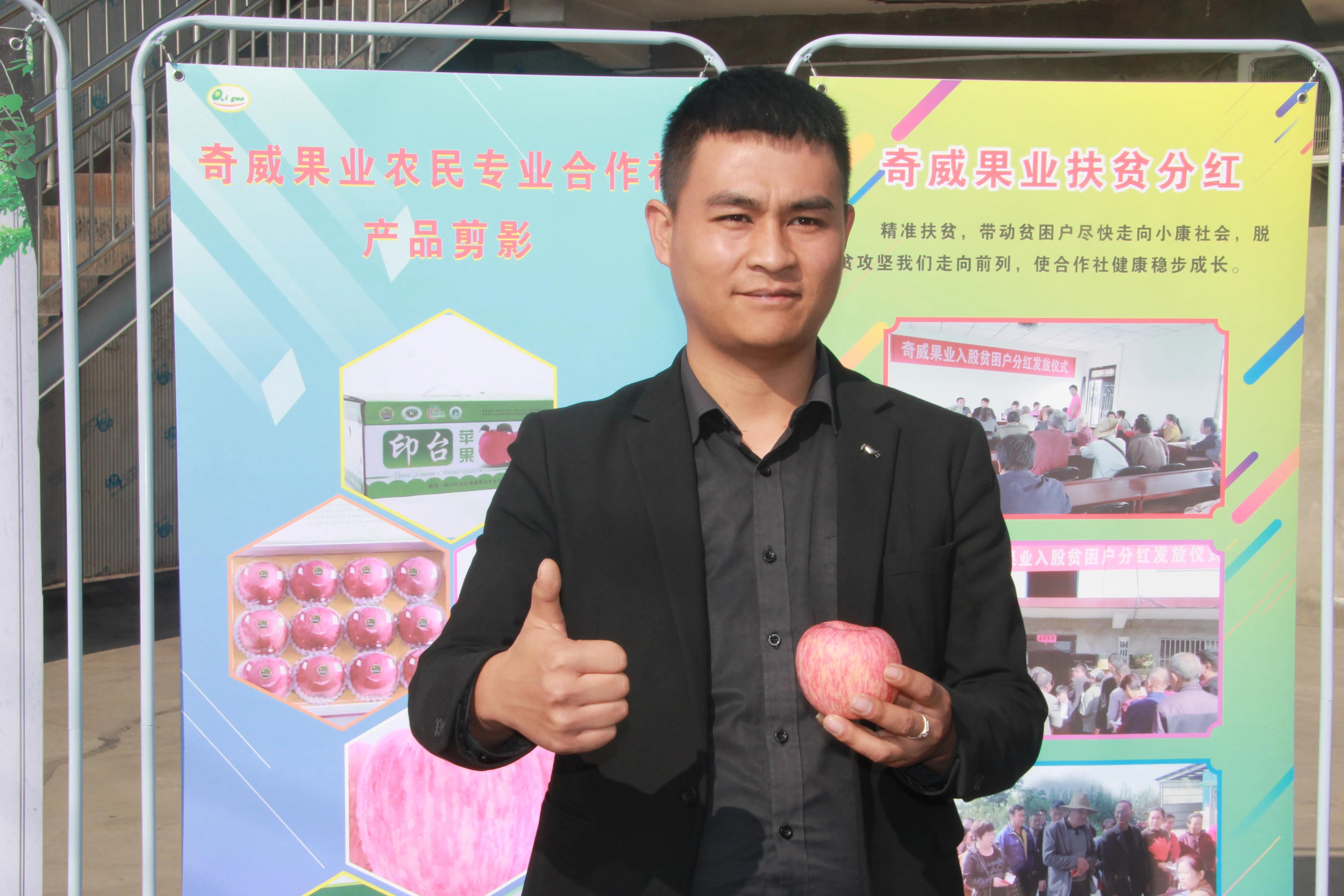 陕西铜川果品,铜川印台镇果业