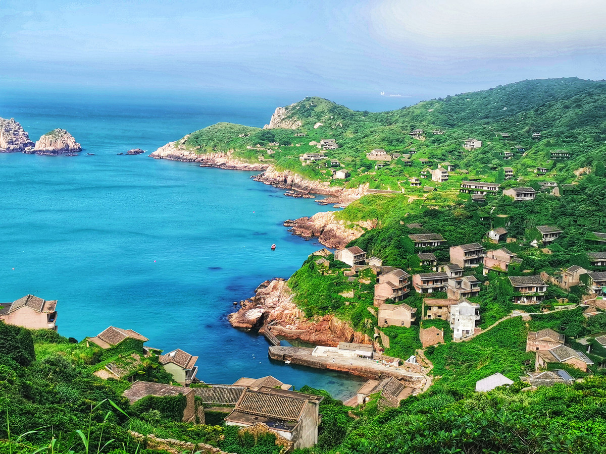 枸杞岛简介,关于宁夏枸杞你了解多少