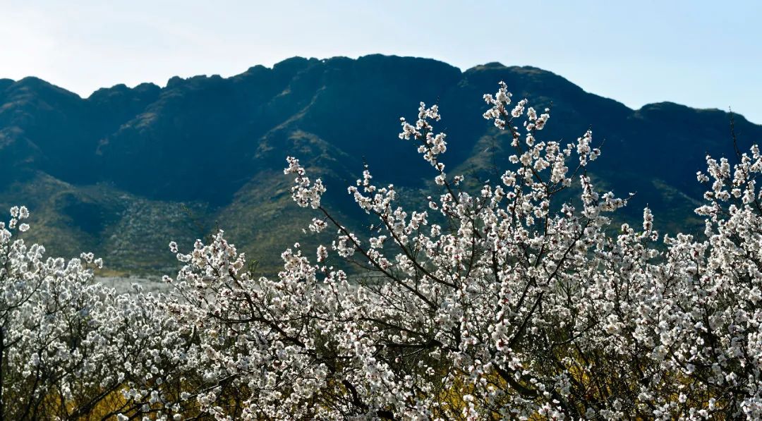内蒙古通辽扎鲁特旗5条自驾游线路和景点攻略