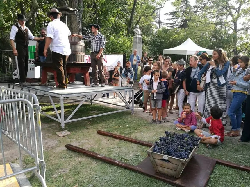 品乐Pinor：在法国葡萄园上班，就像在东北掰玉米……