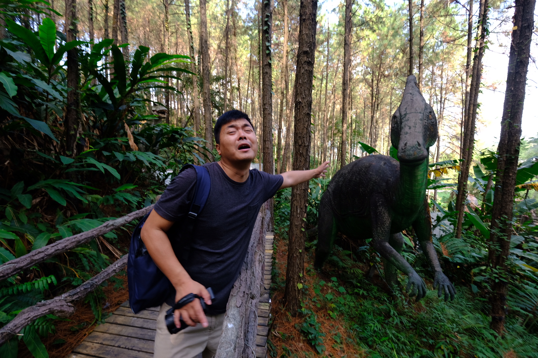 森波拉森林景区,广东清远森波拉旅游度假区
