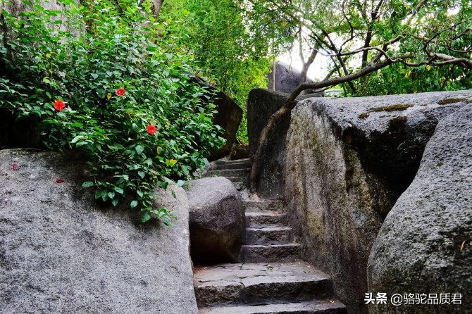 厦门海边之旅,厦门小众旅游体验