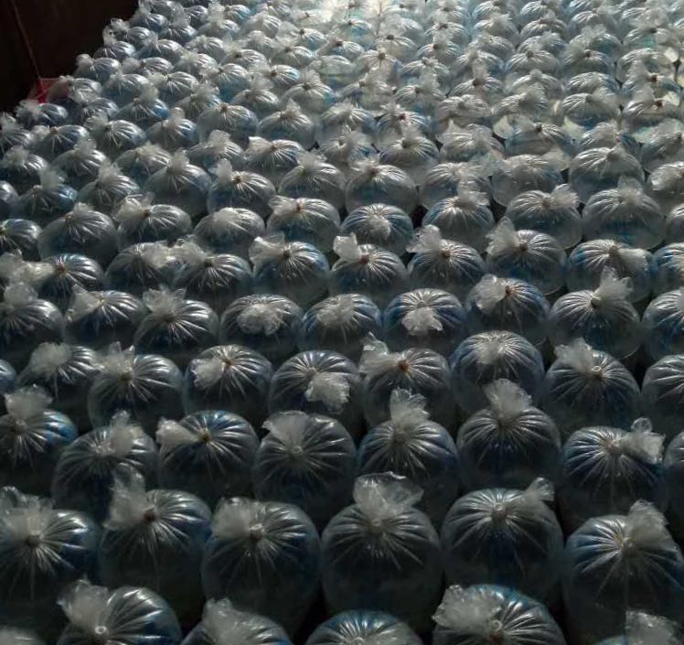 竹鼠养殖项目视频,竹鼠养殖业最新政策