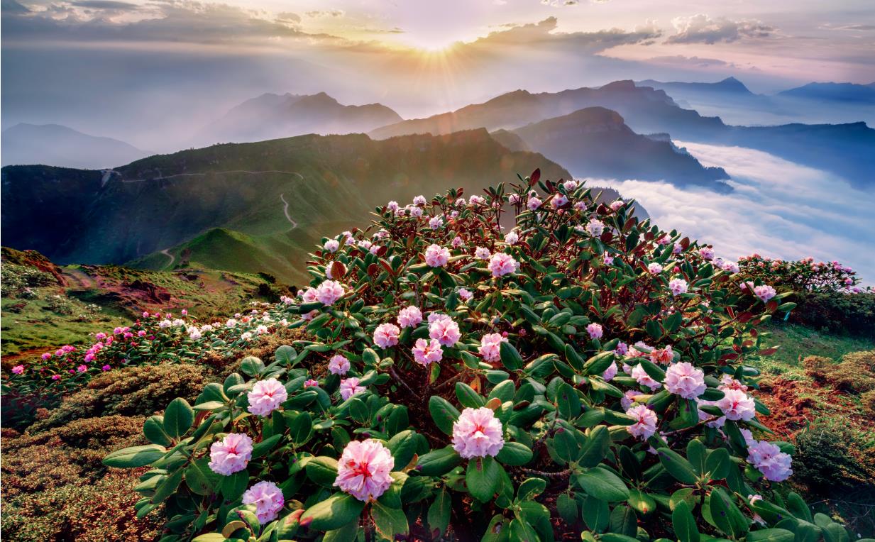 四川眉山是一个怎样的城市,四川第三极的城市