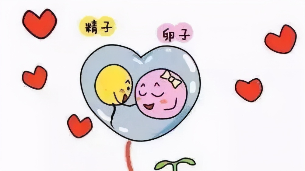 不知道为啥就怀孕了,不知道为什么就怀孕了