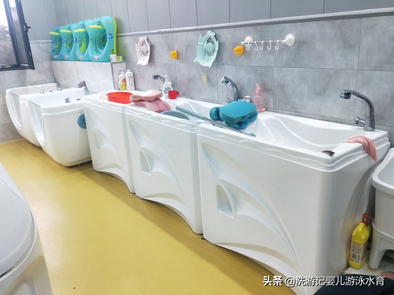 婴儿游泳馆加盟价格多少钱,小型婴幼儿游泳馆加盟