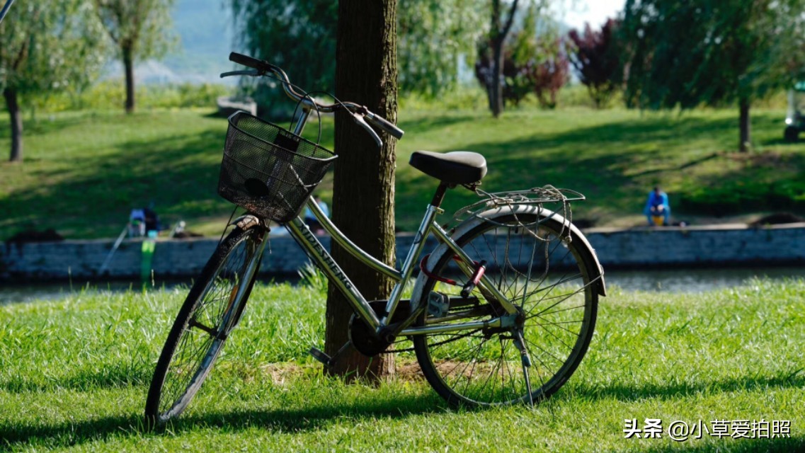 威海羊亭公园有什么好玩的,威海羊亭湿地公园四季美景