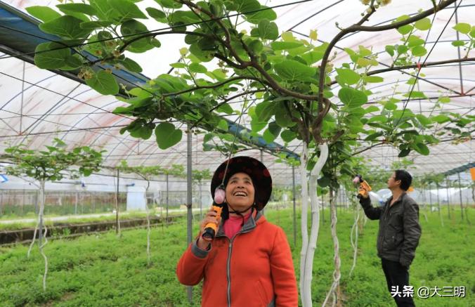 侨乡大地绽新颜——明溪县脱贫攻坚工作侧记