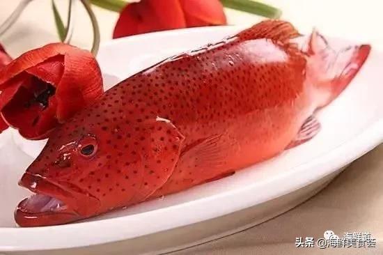 十种最美味海鲜,100种常见海鲜大全图