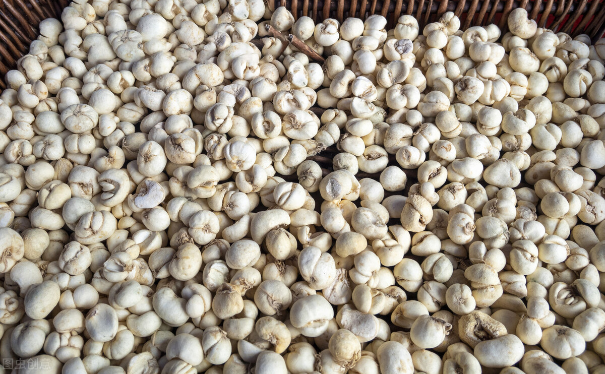 为啥中医一般都不推荐中成药,为什么中医都不给推荐中成药