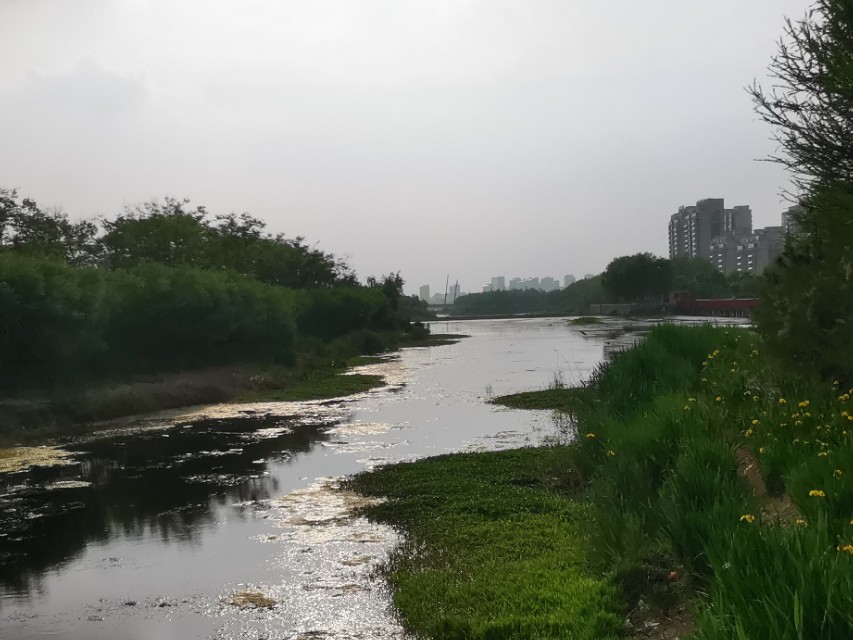 山东莒县重点发展,莒县近五年发展变化