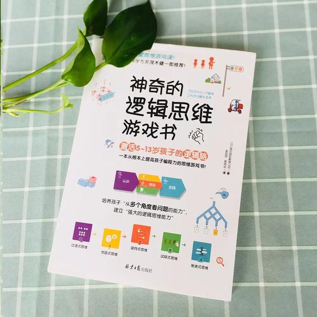 奥数和编程,编程热和奥数热