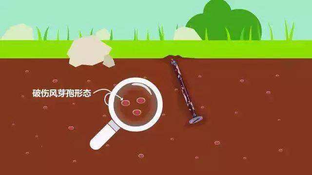 被生锈铁钉扎到得破伤风真实事件,被生锈铁器擦伤会得破伤风吗