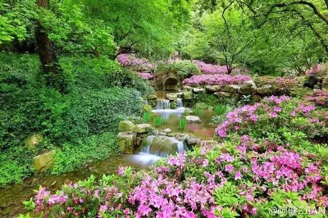 园林卡休闲卡,园林卡苏州市民卡