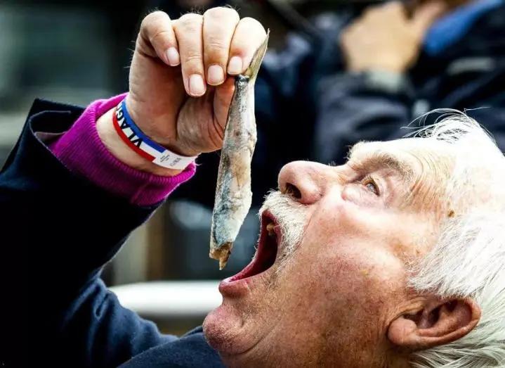 为什么鲱鱼罐头这么臭还这么贵,为什么鲱鱼罐头这么臭还贵