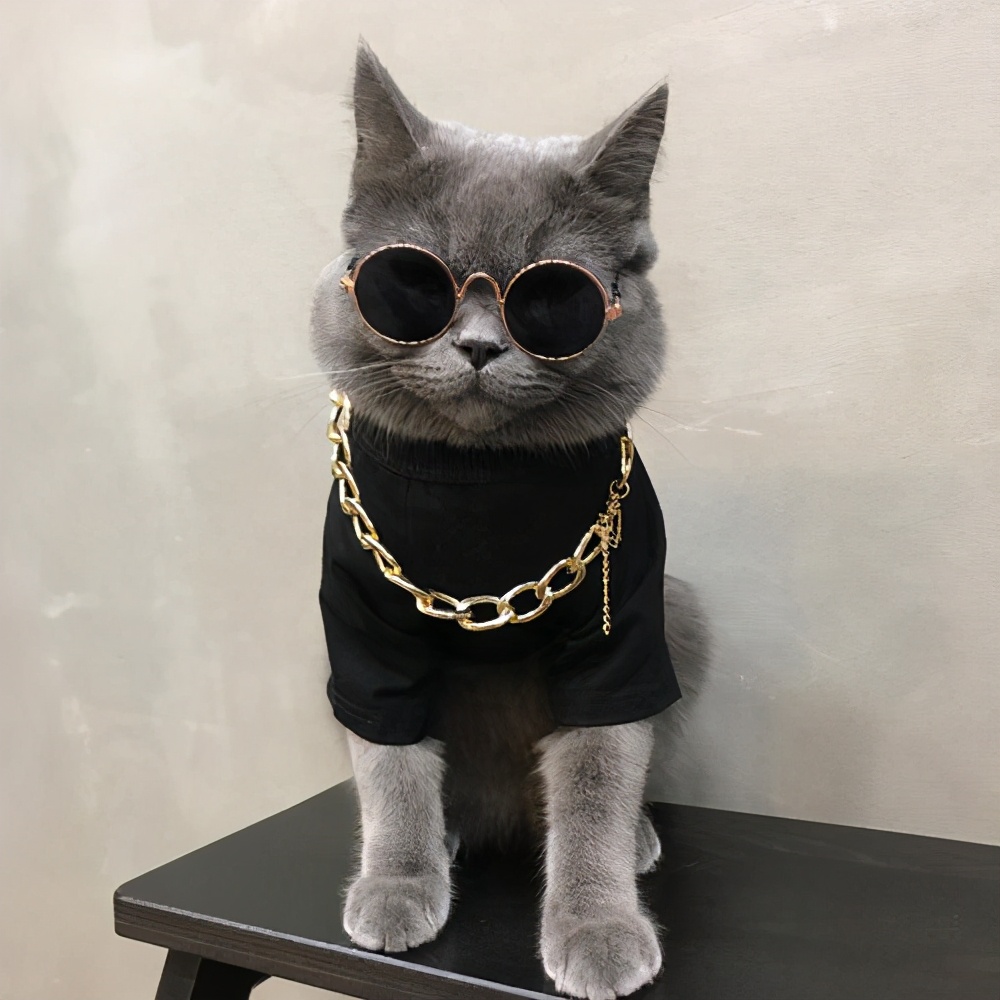 英短银渐层猫咪泪痕,英短泪痕变色毛发怎么处理