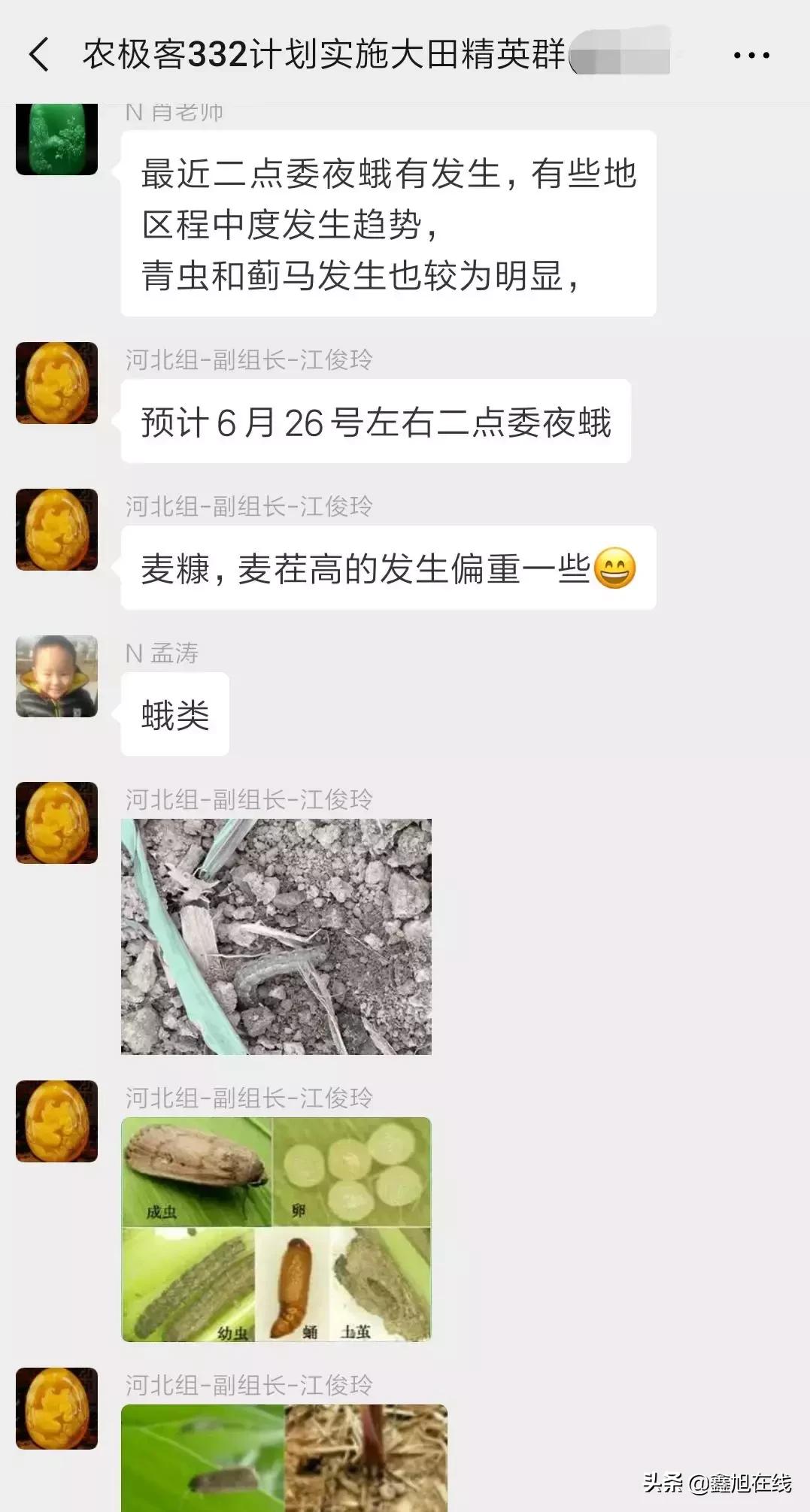 9大肉虫防治，赶紧认清