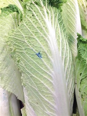 菜上残留农药怎么办,菜叶上残留的绿色农药叫什么药