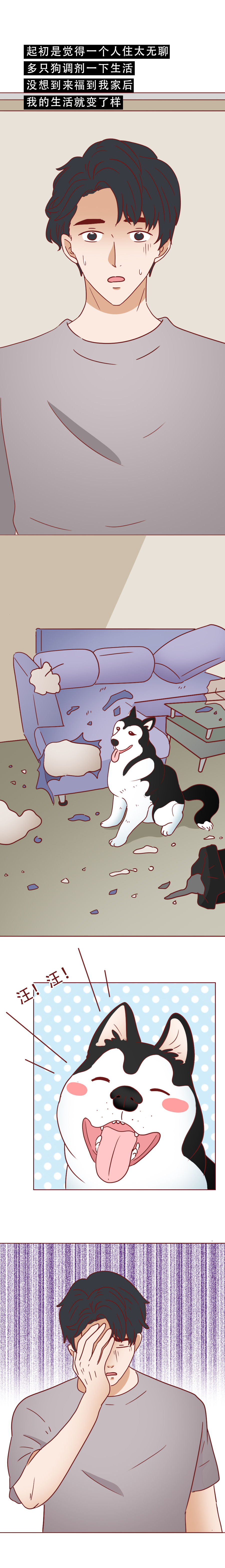 捡了一只猫好像抑郁了怎么办,一只抑郁症猫咪被救赎的故事