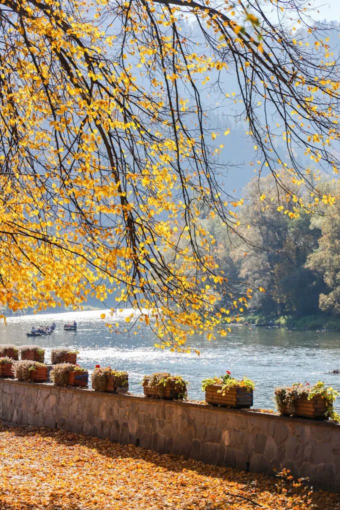 游记｜波兰—你所不知道的童话国度