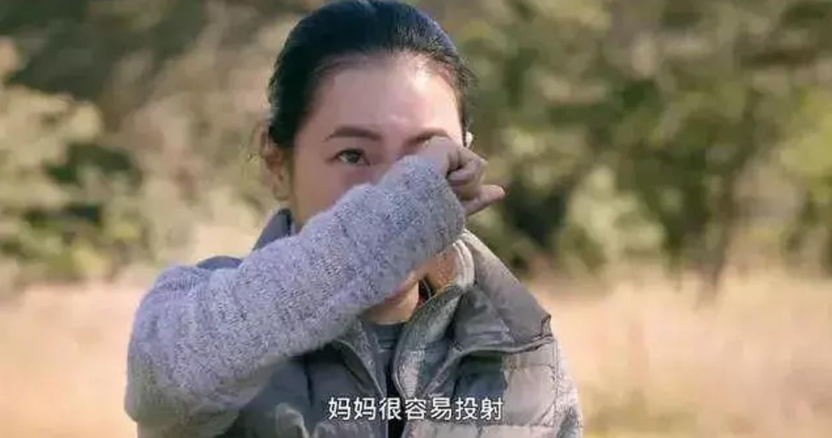 鏉ㄩ鍒橀洴,鍒橀洴鍜屾潹棰栫殑鍖哄埆