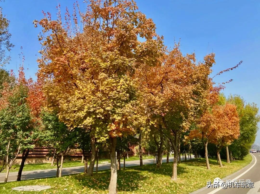 （文字版）「帝都经典跑山路线」岁与今朝似网红，车友江湖范崎路