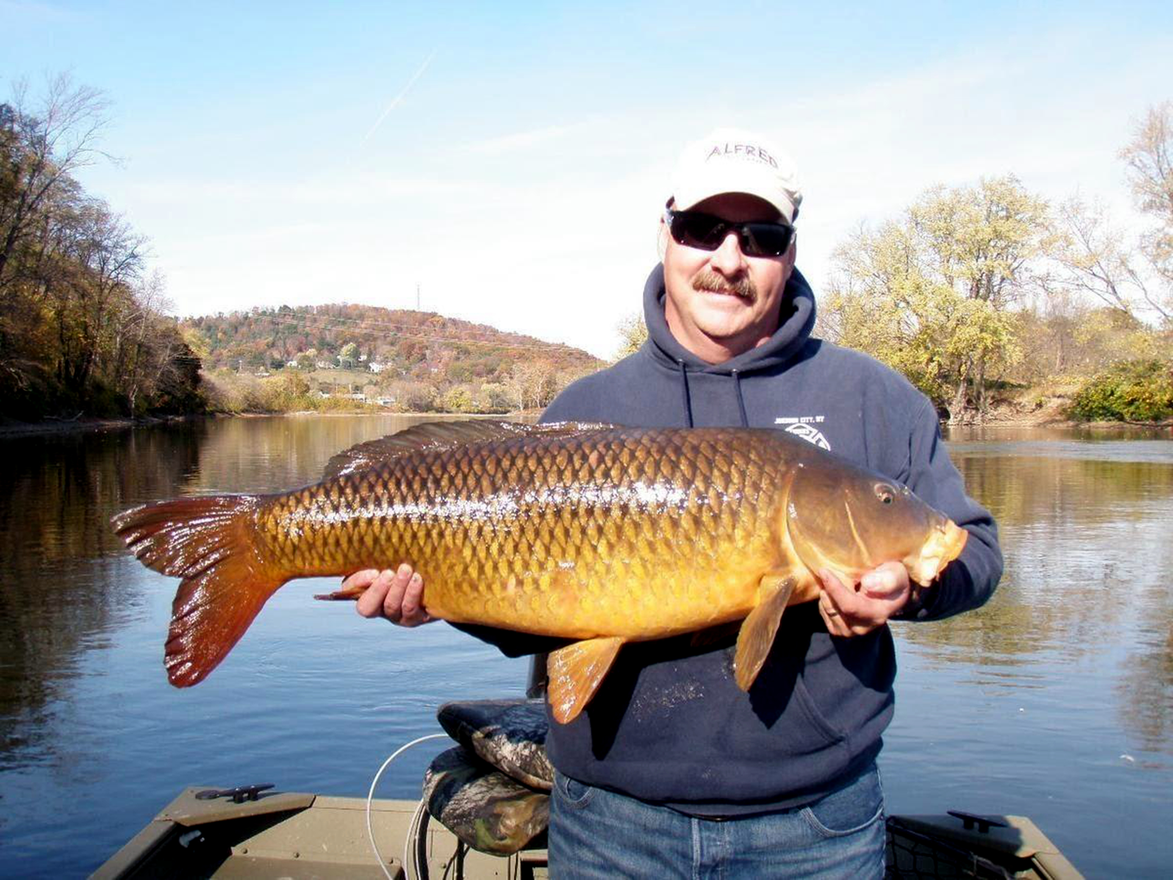 讲述小鲤鱼跳龙门的大概故事,鲤鱼跳龙门具有什么样的习性