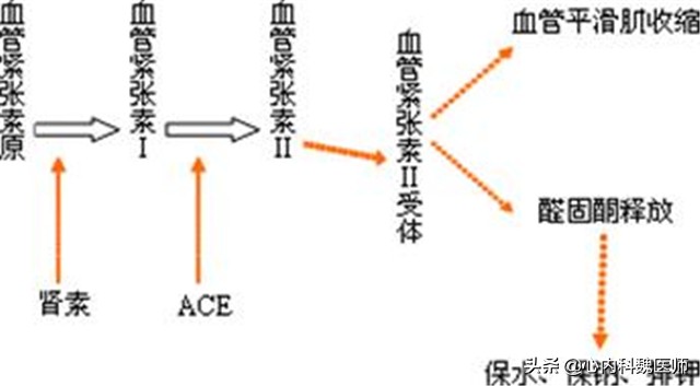 非奈利酮能否逆转糖尿病三期肾病,糖尿病肾病新药非奈利酮疗效如何