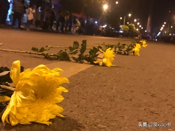 大鱼海棠电影及其音乐作品鉴赏,电影大鱼海棠的音效有哪些