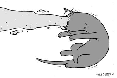 猫咪吃蟑螂该怎么教导,猫咪不小心吃了蟑螂怎么办