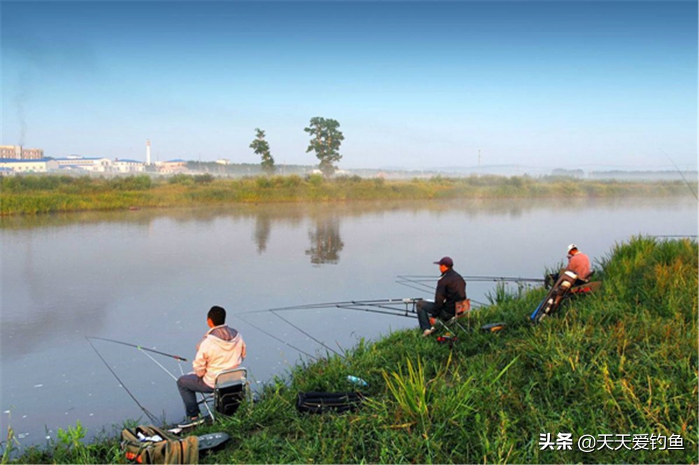 鱼线的演变,鱼线历史