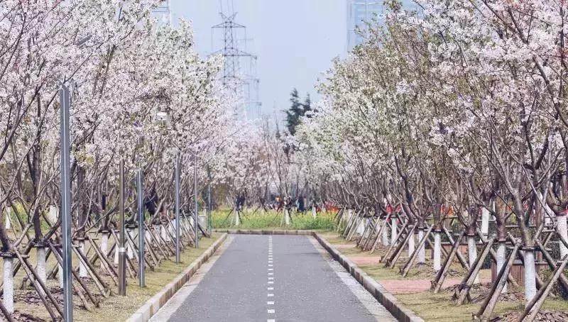 徐汇为什么叫徐汇,什么是静安