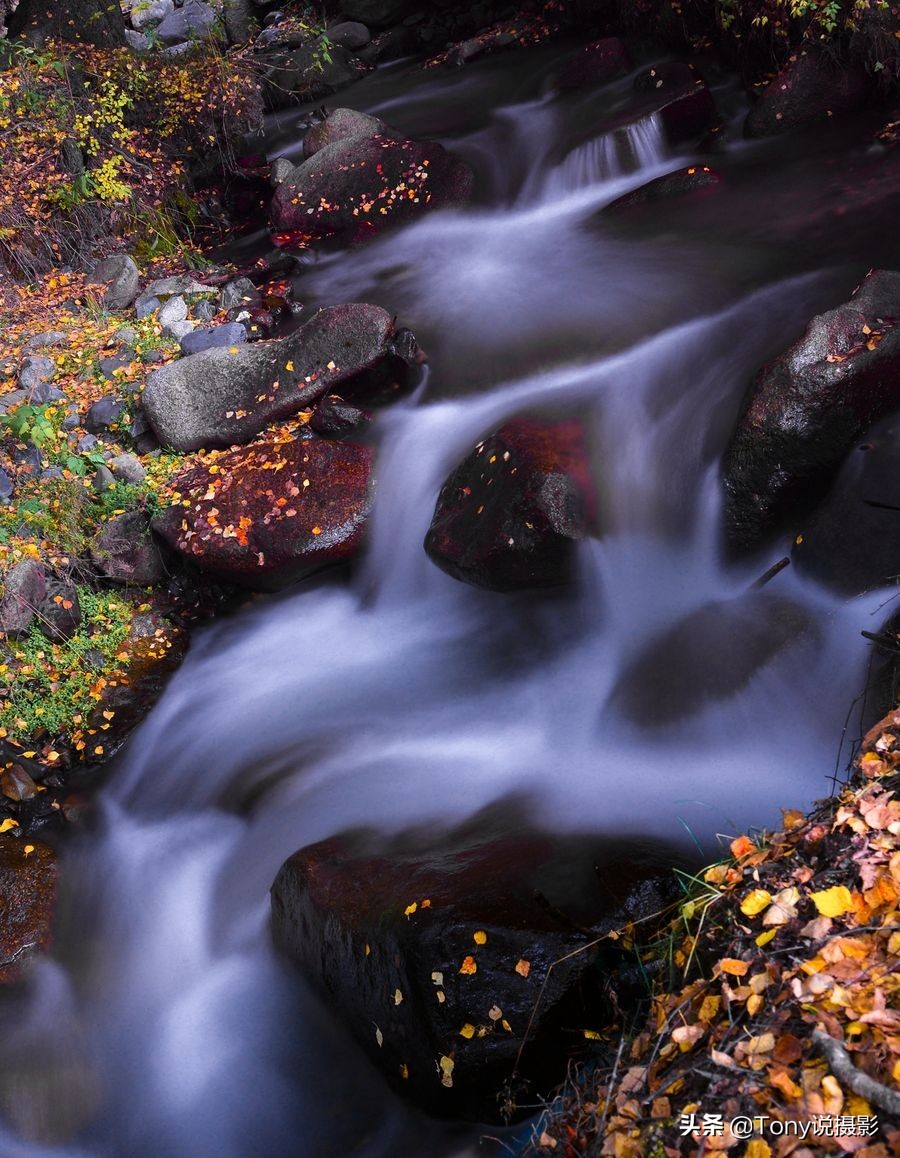 相机拍照入门基础知识和技巧,相机摄影入门教程从零开始学摄影