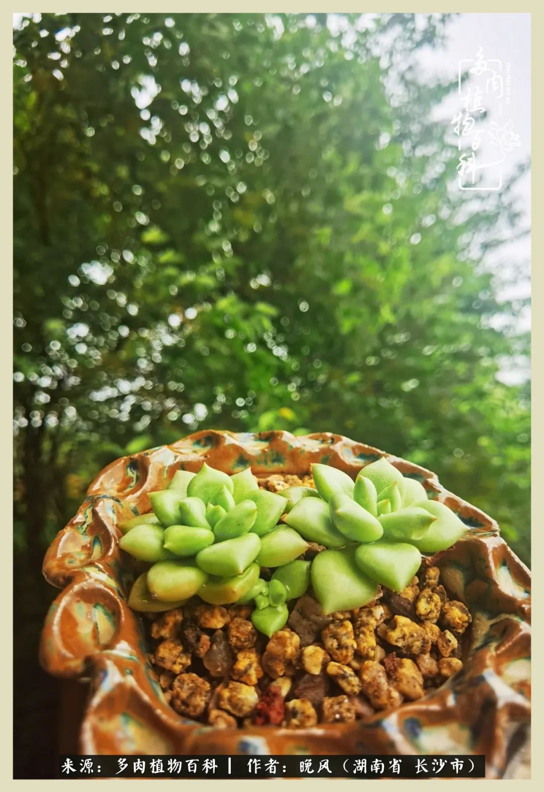 摇身一变成了奶爸,摇身一变成为打工人