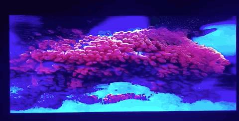 最大的艺术展,中国最大的数字艺术展览