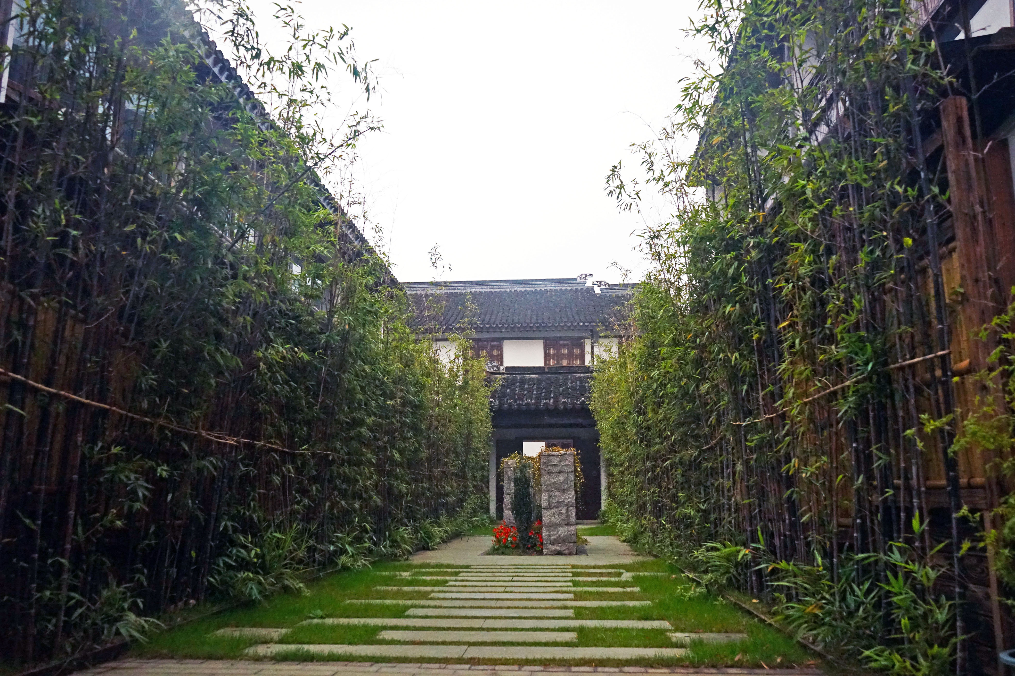 苏州是个温柔细腻且包容的城市,苏州是个温柔的地方