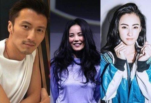 王菲谢霆锋没离婚吗,王菲谢霆锋离婚的真实原因