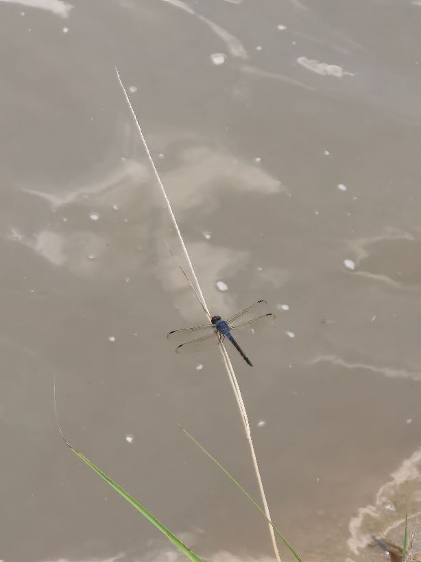 广州好玩的亲子农场,亲子农场广州