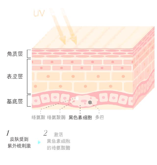 戴口罩起痘、皮肤压伤？关于非常时期的10个皮肤问题一次性解决