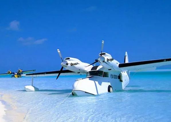 格鲁曼g-21鹅式水上飞机,格鲁曼的鹅